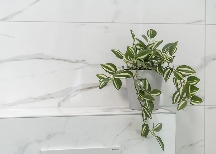 Rooms&apartments Tomic Ston